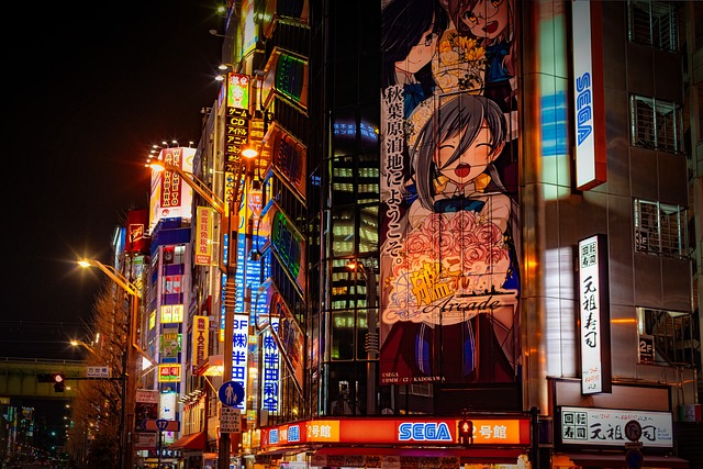 A neon sign in Akihabara featuring some anime characters